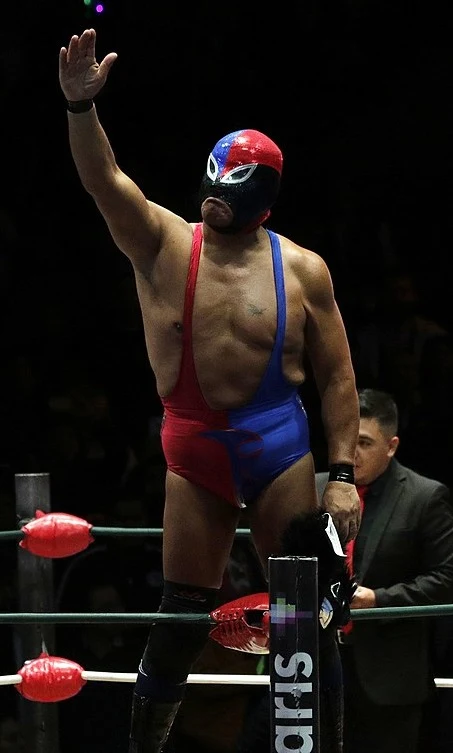 Fuerza Guerrera, luchador del cartel de Expo Máscaras