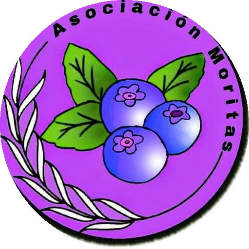 Sello de Fundación Moritas MMBUS A.C., asociación civil