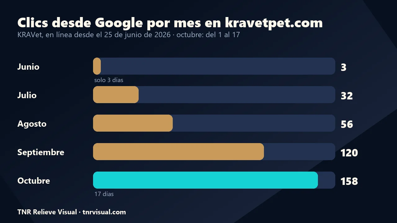 Gráfico de clics desde Google por mes en kravetpet.com, de junio a octubre de 2026, un caso de cómo vender en línea
