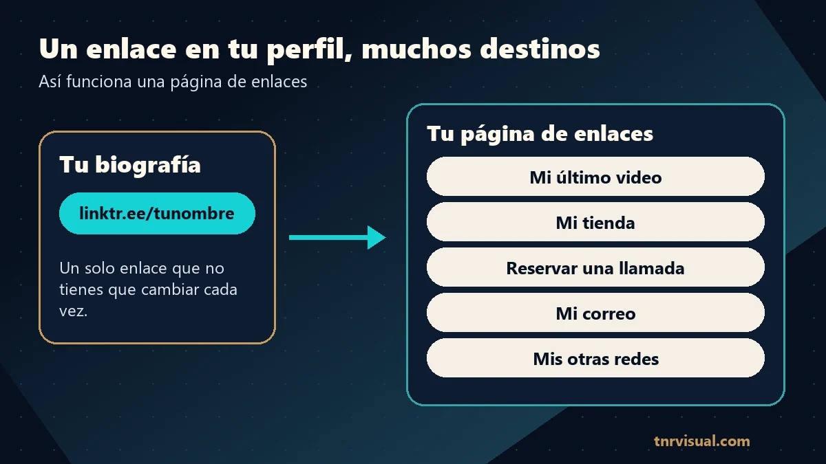 Esquema de qué es Linktree: un enlace en la biografía que abre una página con varios botones de destino